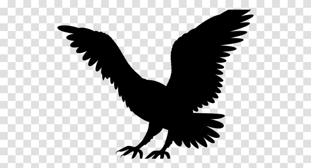 Golden Eagle Images, Bird, Animal, Silhouette, Flying Transparent Png