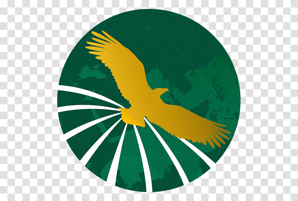 Golden Eagle Travel And Tours Logo, Bird, Animal, Trademark Transparent Png