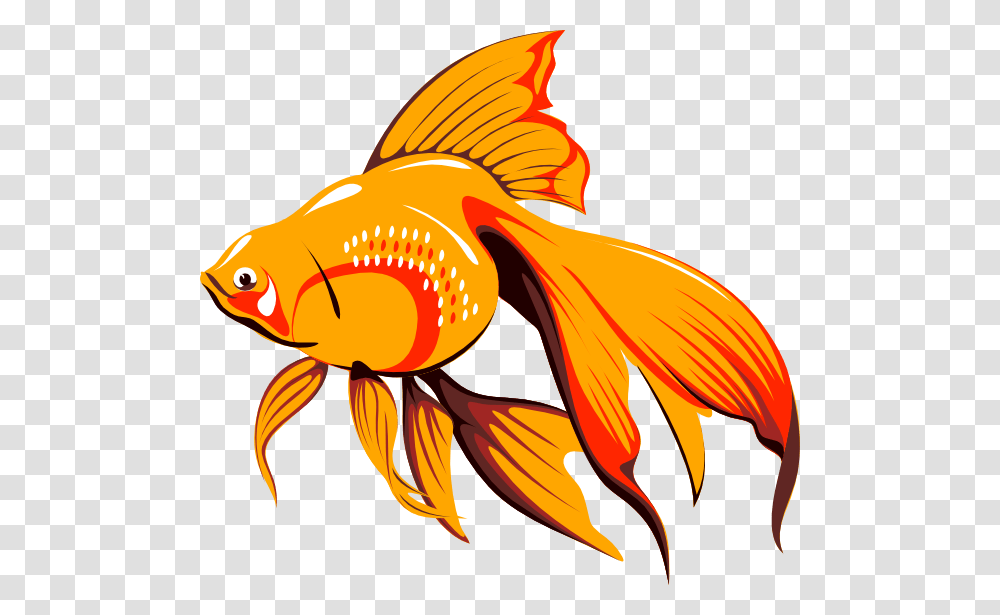 Golden Fish Clip Art For Web, Goldfish, Animal, Bird Transparent Png