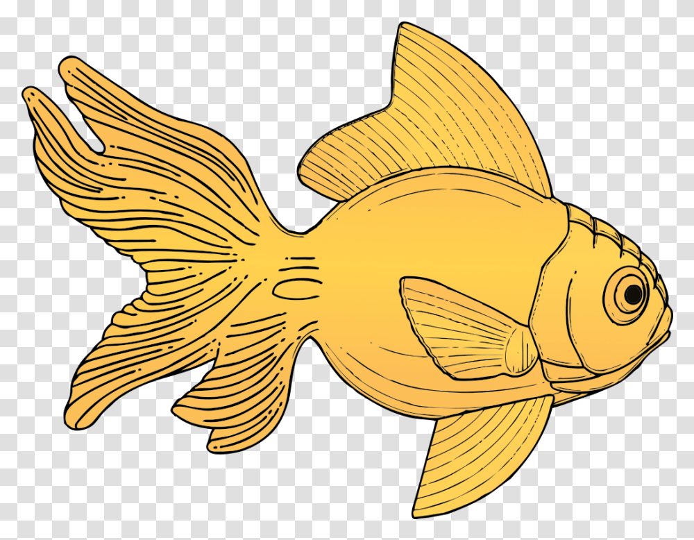 Golden Fish Svg Clip Art For Web Download Clip Art Gold Fish Clip Art, Animal, Goldfish, Bird Transparent Png