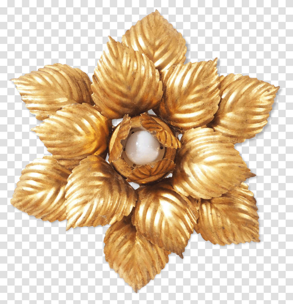 Golden Flower Wall LightSrc Https Artificial Flower, Fungus, Jewelry, Accessories, Accessory Transparent Png