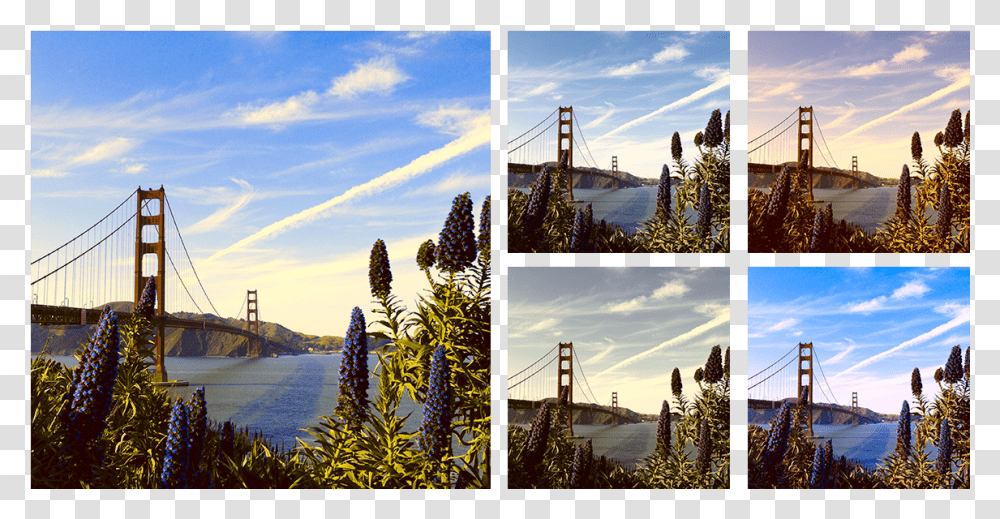 Golden Gate Bridge Download Golden Gate Bridge, Collage, Poster, Advertisement, Plant Transparent Png
