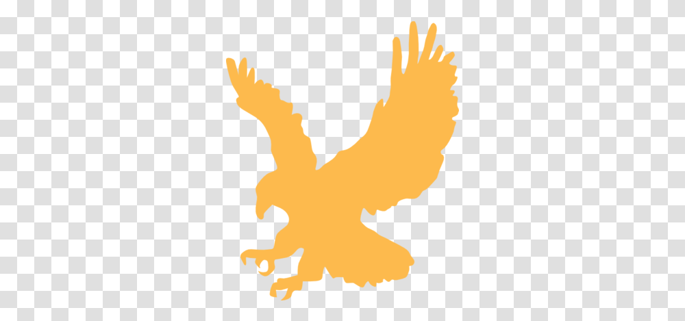 Golden Hawk Fairy Tail Fanon Wiki Fandom Gold Eagle Clip Art, Poultry, Fowl, Bird, Animal Transparent Png