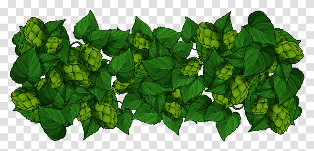 Golden Hop Illustration, Green, Leaf, Plant, Vase Transparent Png