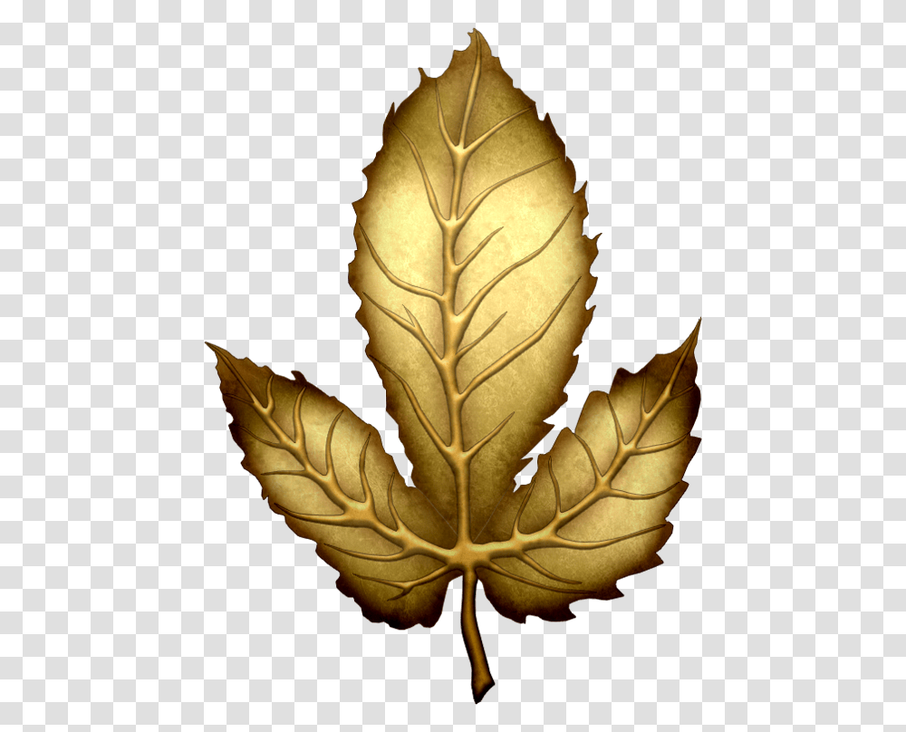 Golden Leaves Image, Leaf, Plant, Pineapple, Fruit Transparent Png