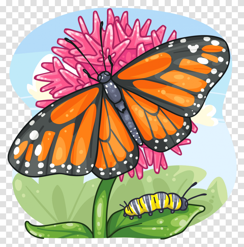 Golden Monarch Butterfly, Insect, Invertebrate, Animal Transparent Png