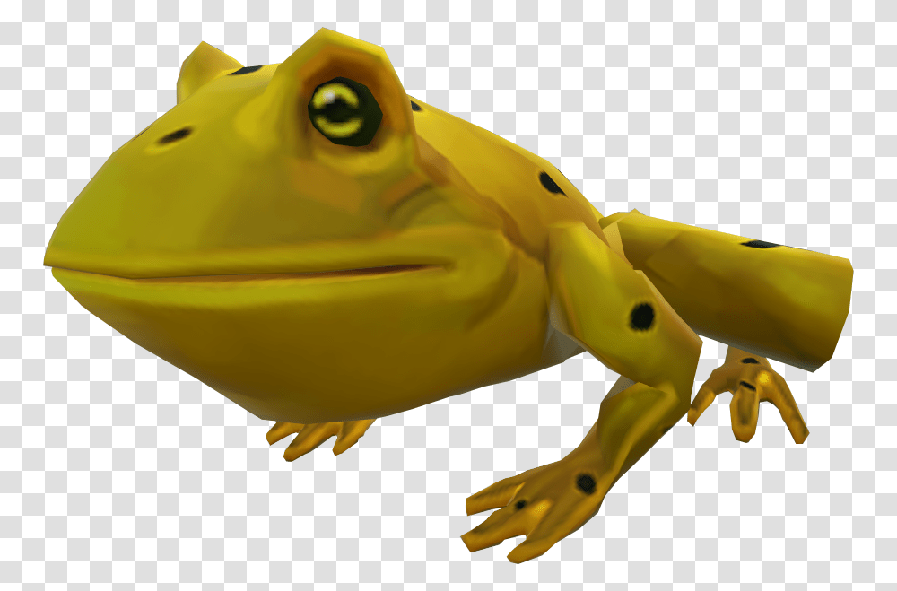 Golden Poison Frog, Animal, Amphibian, Wildlife Transparent Png