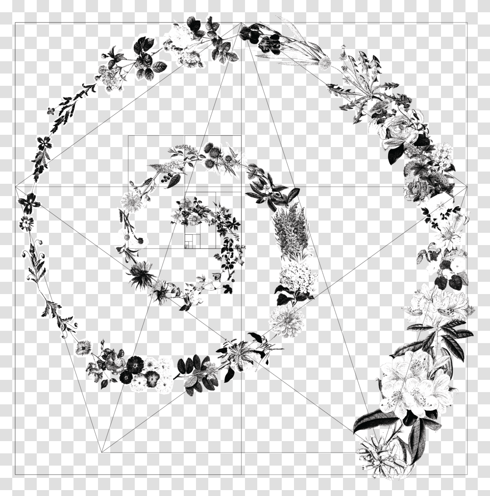 Golden Ratio Gometric Circle, Graphics, Art, Pattern, Floral Design Transparent Png