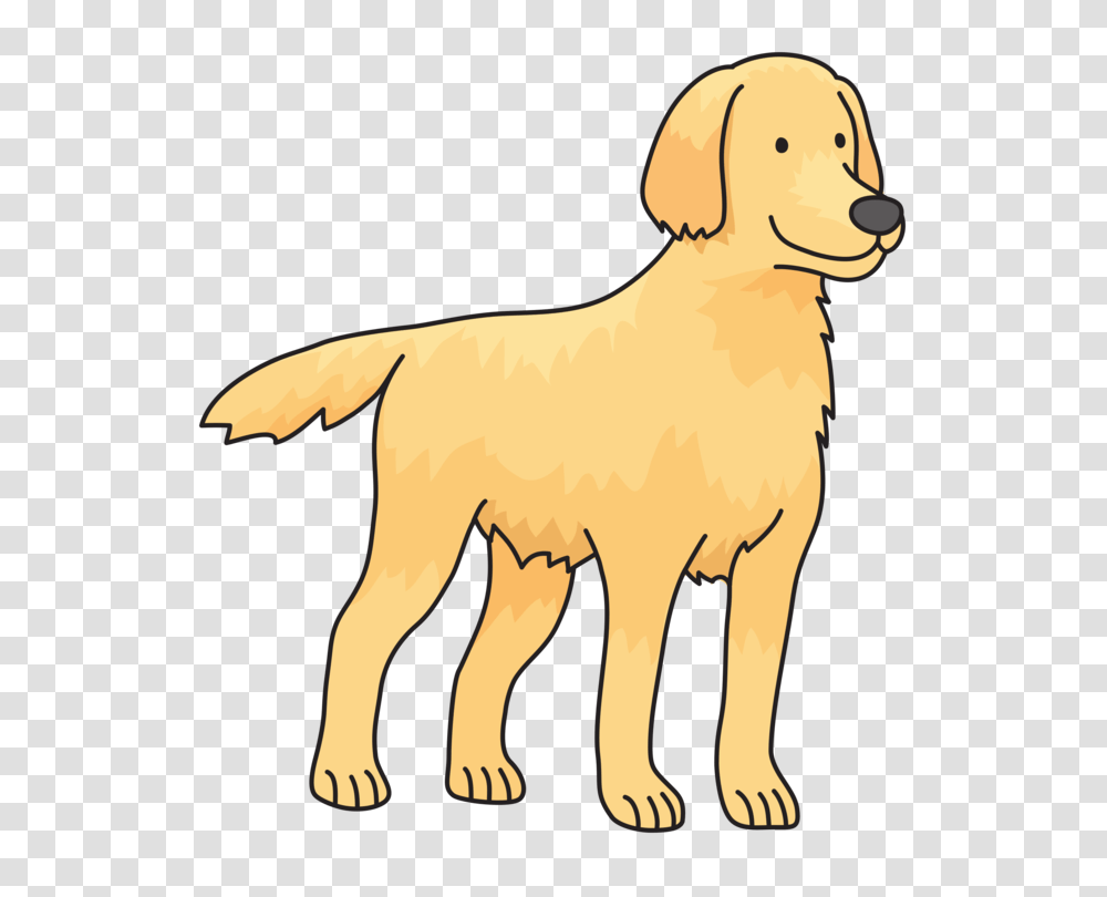 Golden Retriever, Animal, Mammal, Dog, Pet Transparent Png