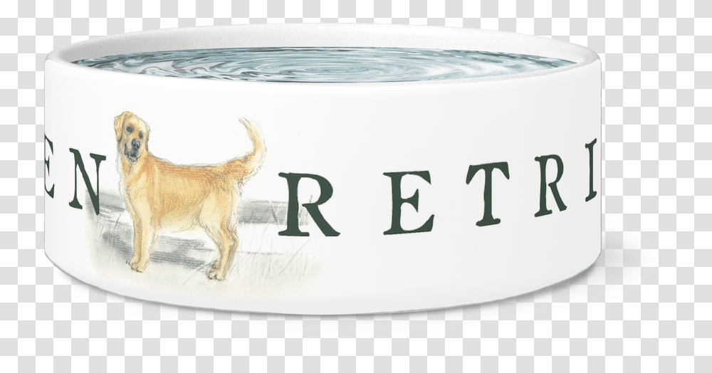 Golden Retriever Bowl Coal Fire Full Size Download Golden Retriever, Dog, Pet, Canine, Animal Transparent Png