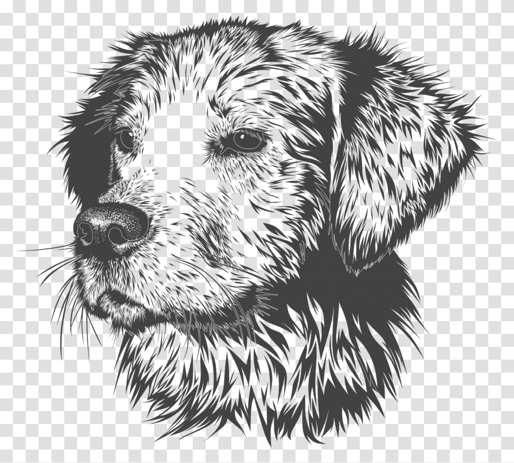 Golden Retriever Clipart Golden Retriever Head Drawing, Animal, Mammal, Pet, Dog Transparent Png