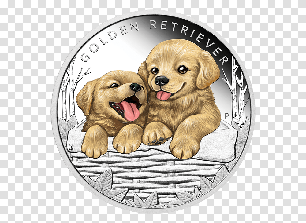 Golden Retriever Coin, Dog, Pet, Canine, Animal Transparent Png