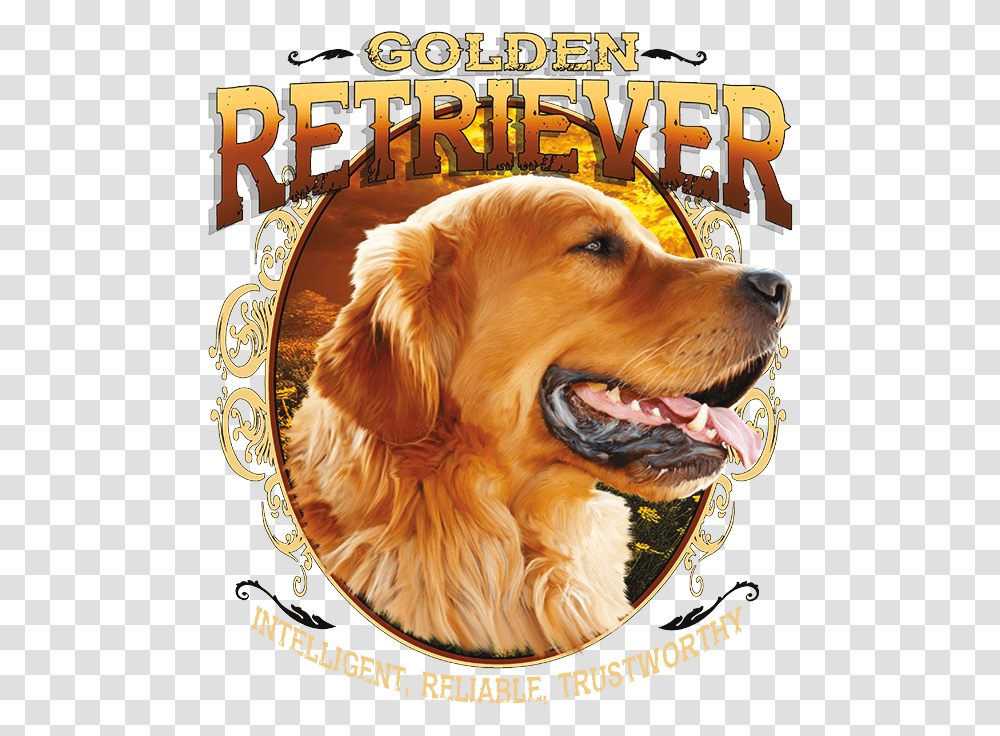 Golden Retriever Golden Retriever Dog Hd Mobile, Pet, Canine, Animal, Mammal Transparent Png