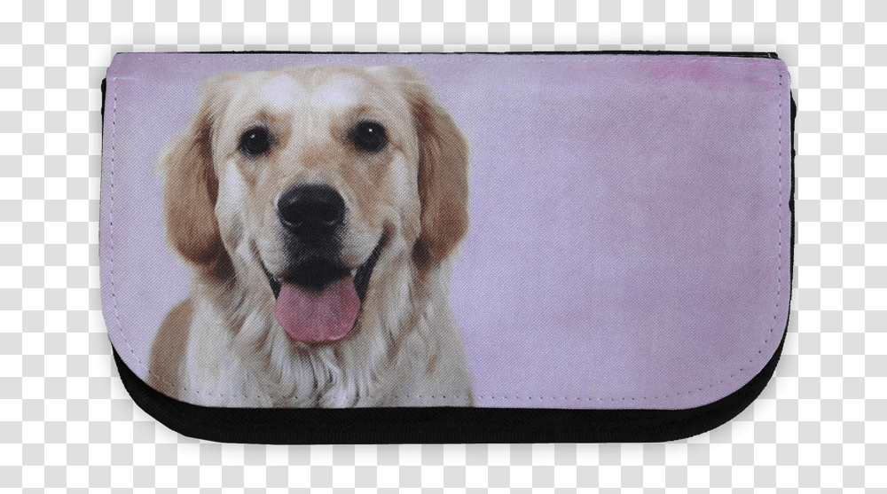 Golden Retriever Pencil Case Dog Yawns, Pet, Canine, Animal, Mammal Transparent Png
