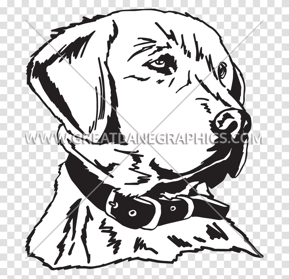 Golden Retriever Production Ready Artwork For T Shirt Printing, Apparel, Helmet, Bandana Transparent Png