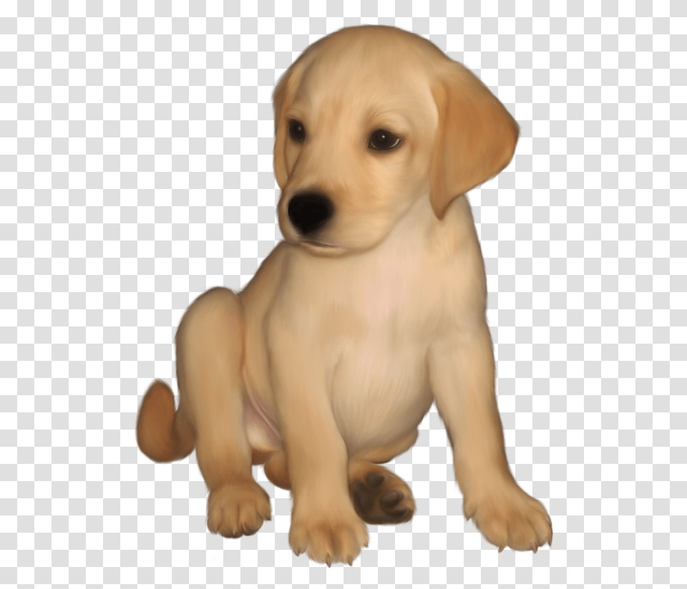 Golden Retriever Puppy, Canine, Mammal, Animal, Dog Transparent Png
