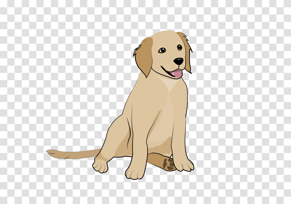 Golden Retriever Puppy, Dog, Pet, Canine, Animal Transparent Png