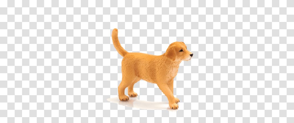 Golden Retriever Puppy, Dog, Pet, Canine, Animal Transparent Png