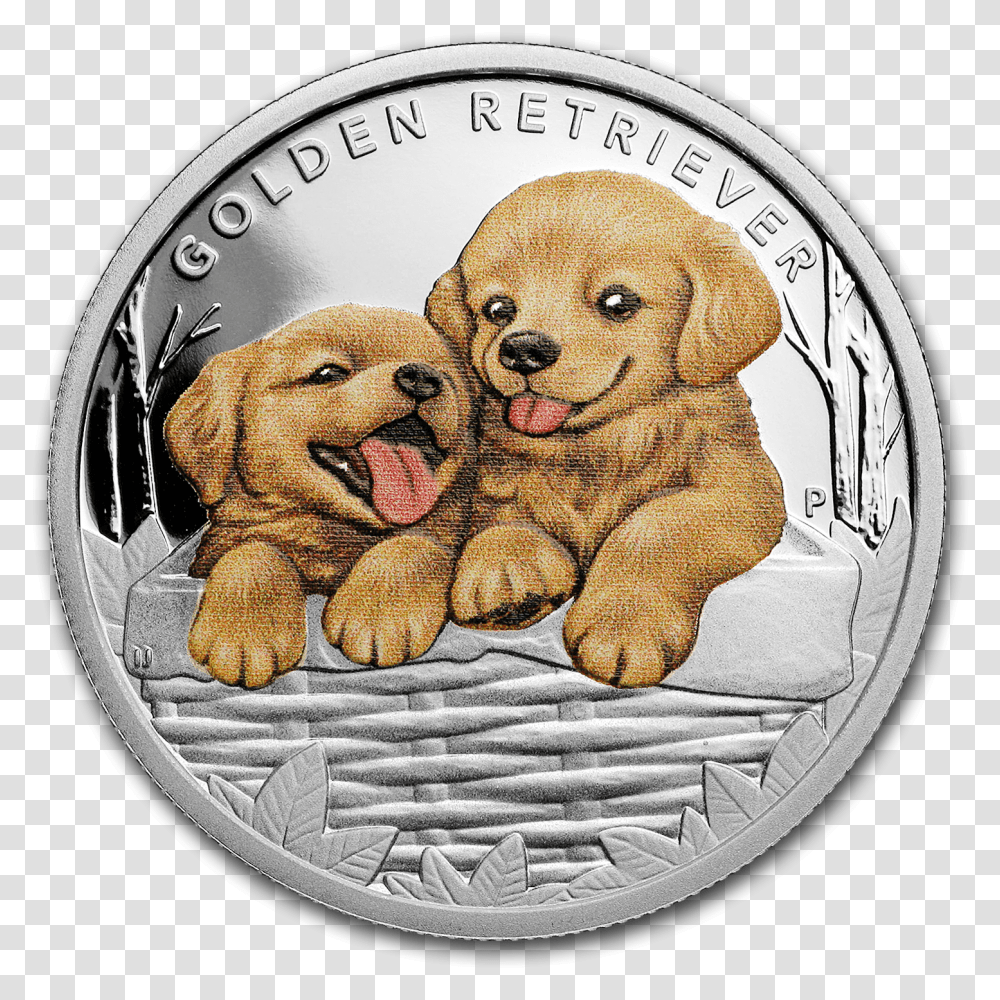 Golden Retriever Puppy Golden Retriever, Coin, Money, Rug, Pet Transparent Png