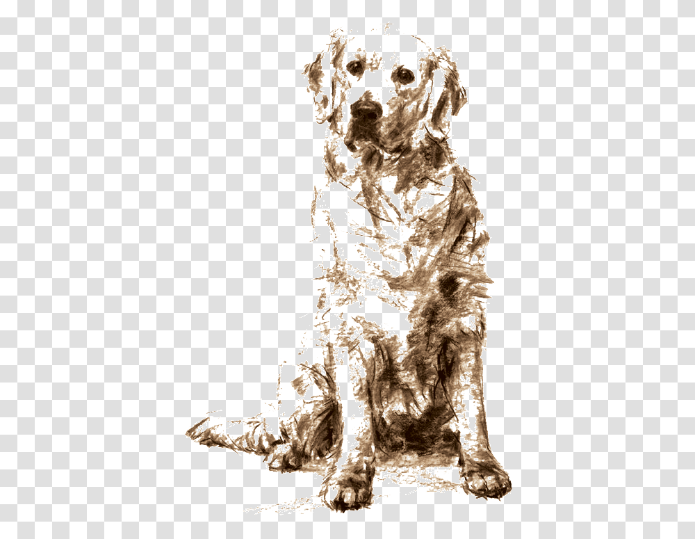 Golden Retriever Sitting Drawing Download Dogs Golden Retriever Sketches, Pianist Transparent Png
