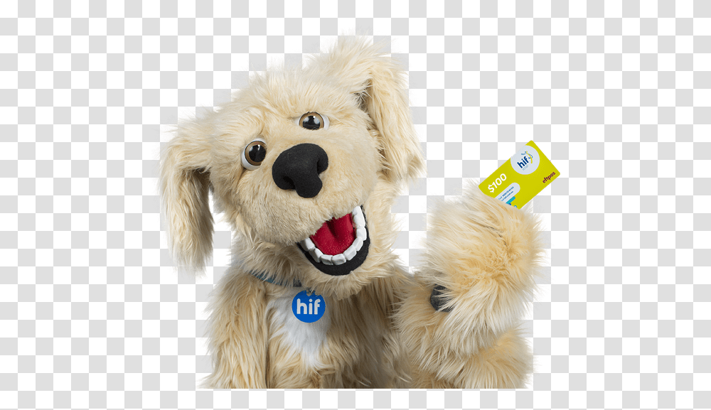 Golden Retriever, Toy, Plush, Dog, Pet Transparent Png