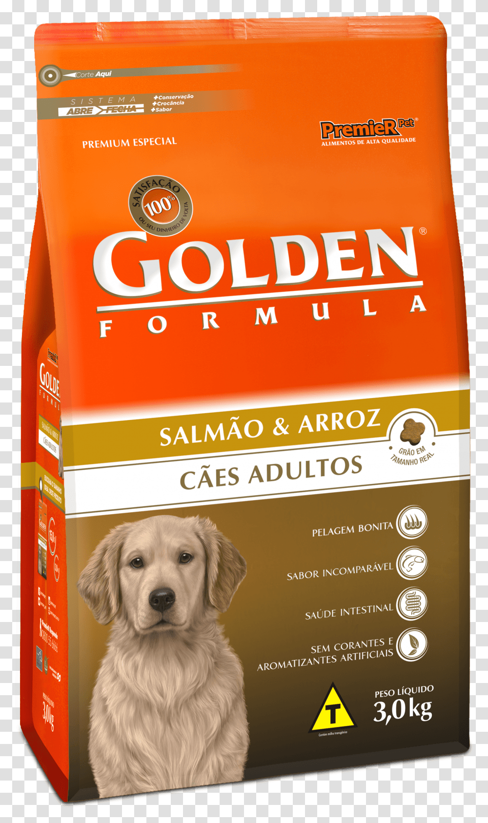 Golden Salmo E Arroz, Dog, Pet, Canine, Animal Transparent Png