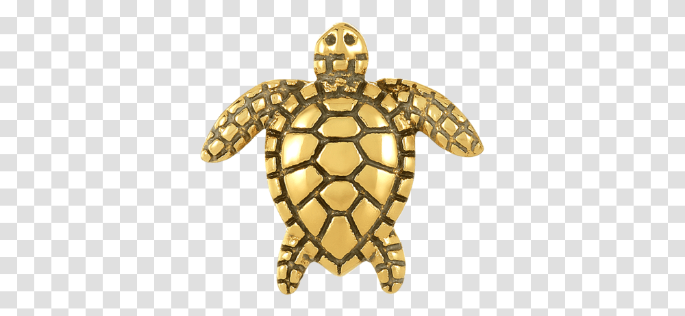Golden Sea Turtle Bead Kemp's Ridley Sea Turtle, Brooch, Jewelry, Accessories, Accessory Transparent Png