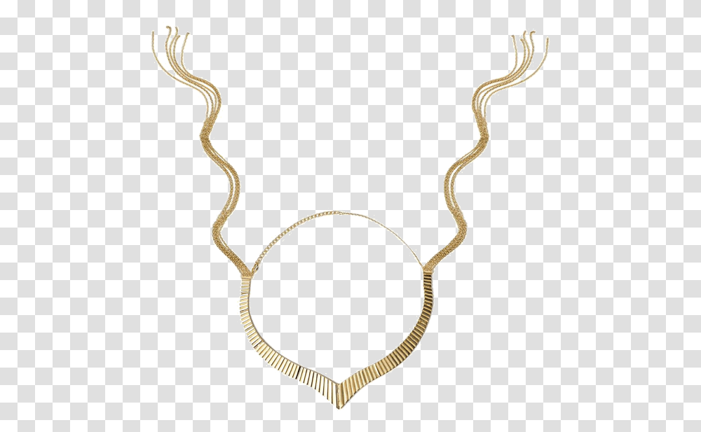 Golden Whip Necklace, Jewelry, Accessories, Accessory, Snake Transparent Png