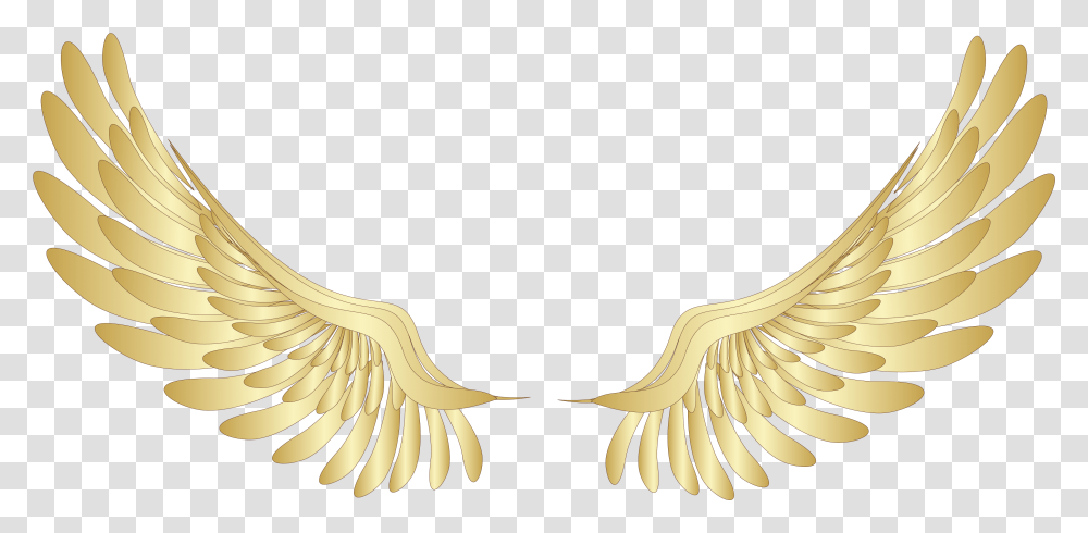 Golden Wings Angel Wings, Banana, Fruit, Plant, Food Transparent Png