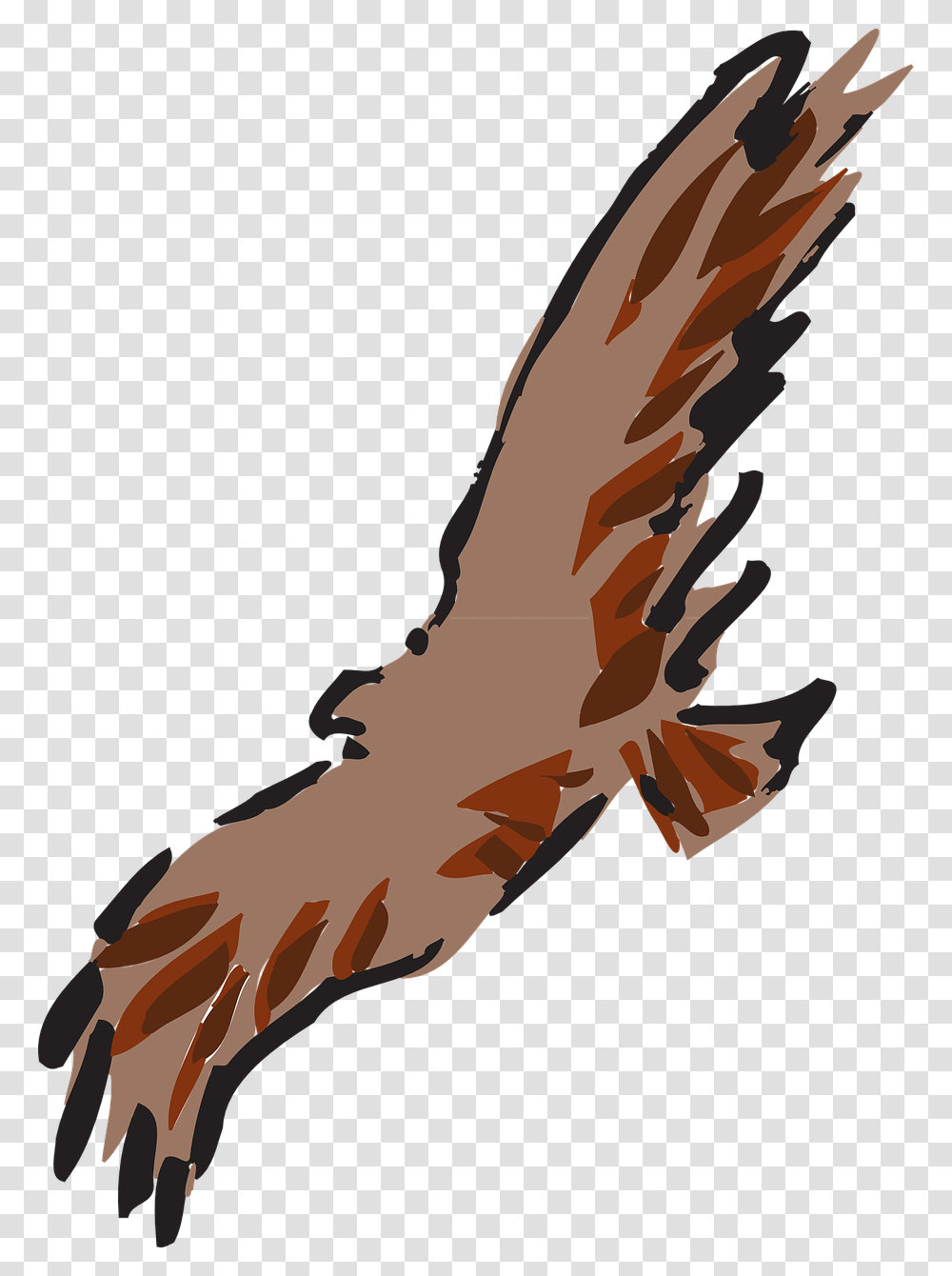 Golden Wings, Animal, Bird, Vulture, Kite Bird Transparent Png