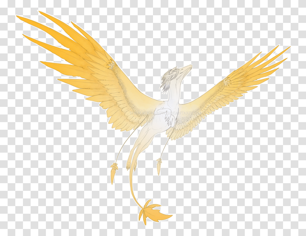 Golden Wings Download Image Arts Ciconiiformes, Bird, Animal, Crane Bird, Stork Transparent Png