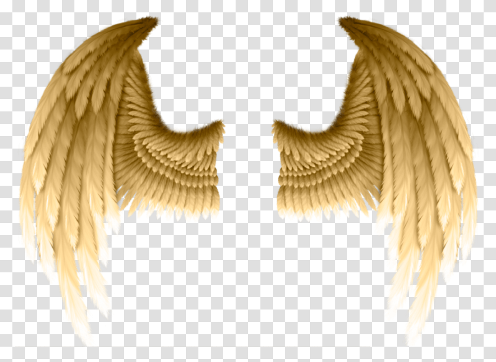 Golden Wings Freetoedit Gold Angel Wings, Bird, Animal, Archangel Transparent Png