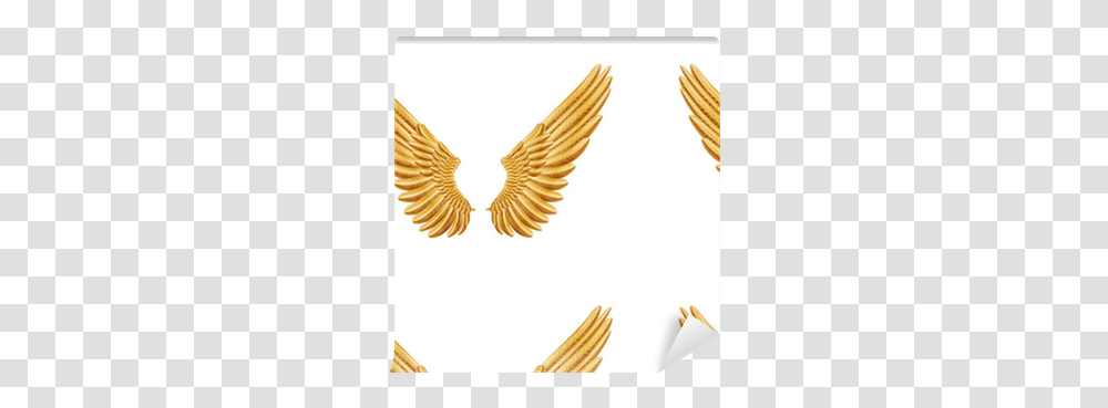 Golden Wings Wallpaper Pixers We Accipitridae, Bronze, Symbol, Screen, Animal Transparent Png