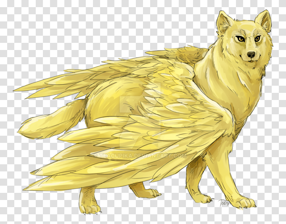 Goldendoodle Golden Retriever African Golden Wolf Drawing Golden Wolf With Wings, Bird, Animal, Mammal, Wildlife Transparent Png