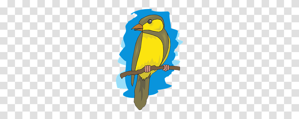 Goldfinch Animal, Bird, Canary Transparent Png