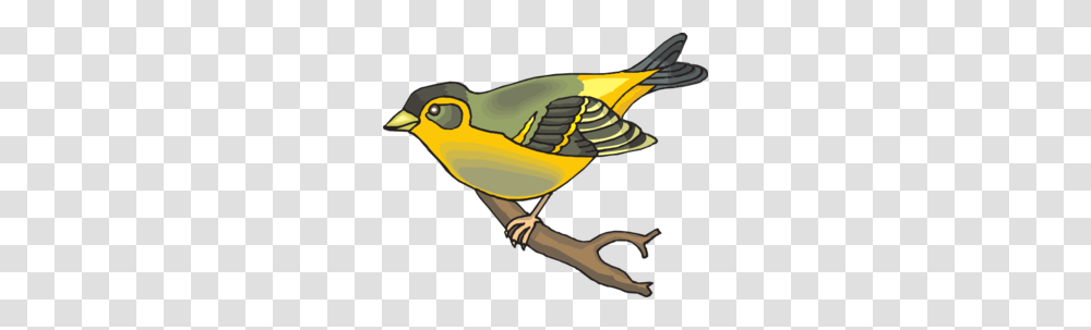 Goldfinch Clip Art For Web, Bird, Animal, Jay, Blue Jay Transparent Png