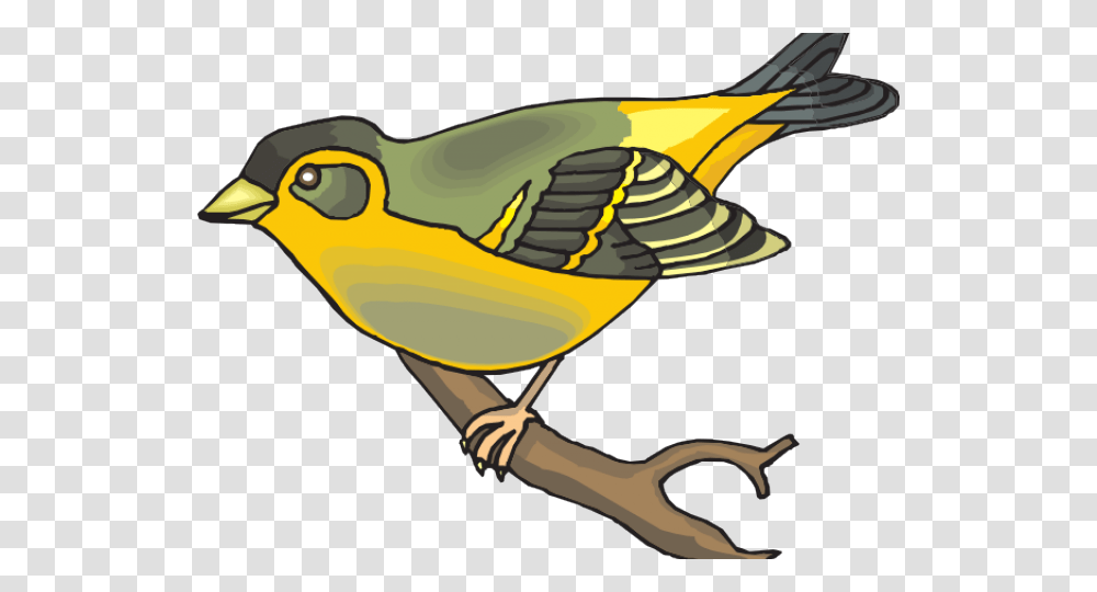 Goldfinch Clipart Gold Bird, Animal, Beak, Canary, Jay Transparent Png