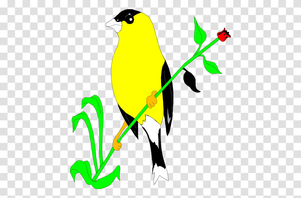 Goldfinch On A Flower Stem Clip Art, Animal, Bird, Canary Transparent Png