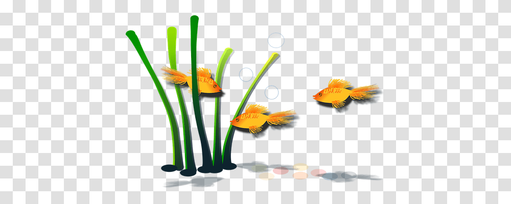 Goldfish Nature, Animal Transparent Png