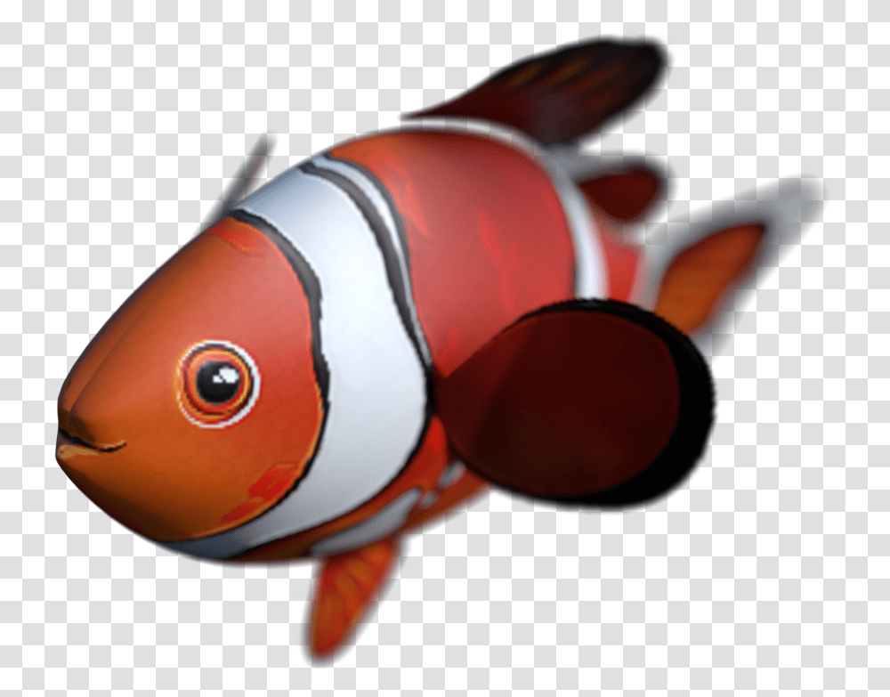 Goldfish, Amphiprion, Sea Life, Animal, Angelfish Transparent Png