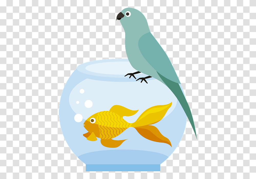 Goldfish, Animal, Bird, Parrot Transparent Png
