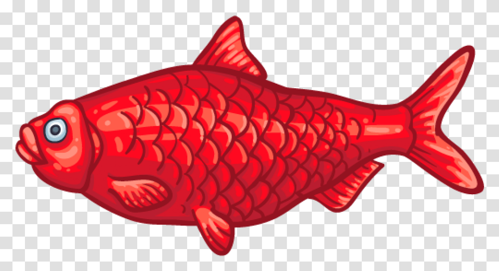 Goldfish, Animal, Carp, Aquatic, Water Transparent Png