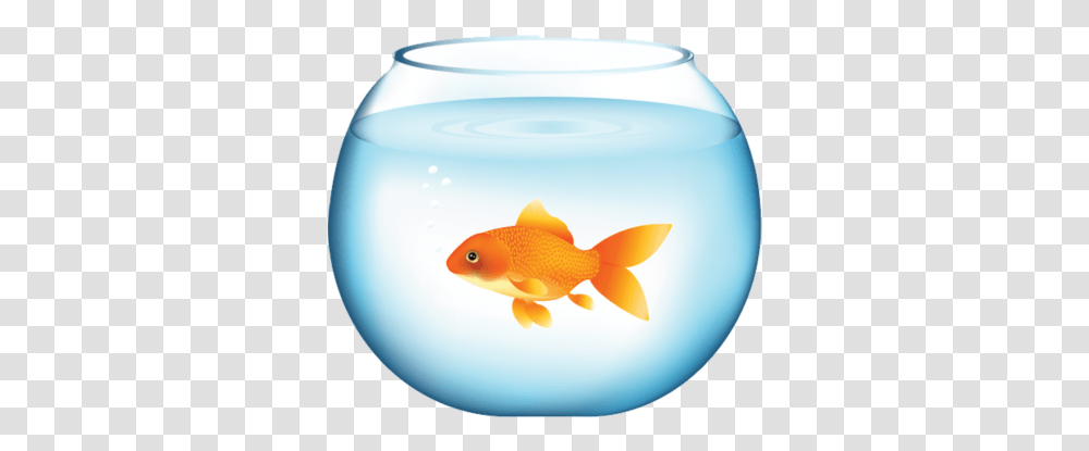 Goldfish, Animal, Lamp Transparent Png
