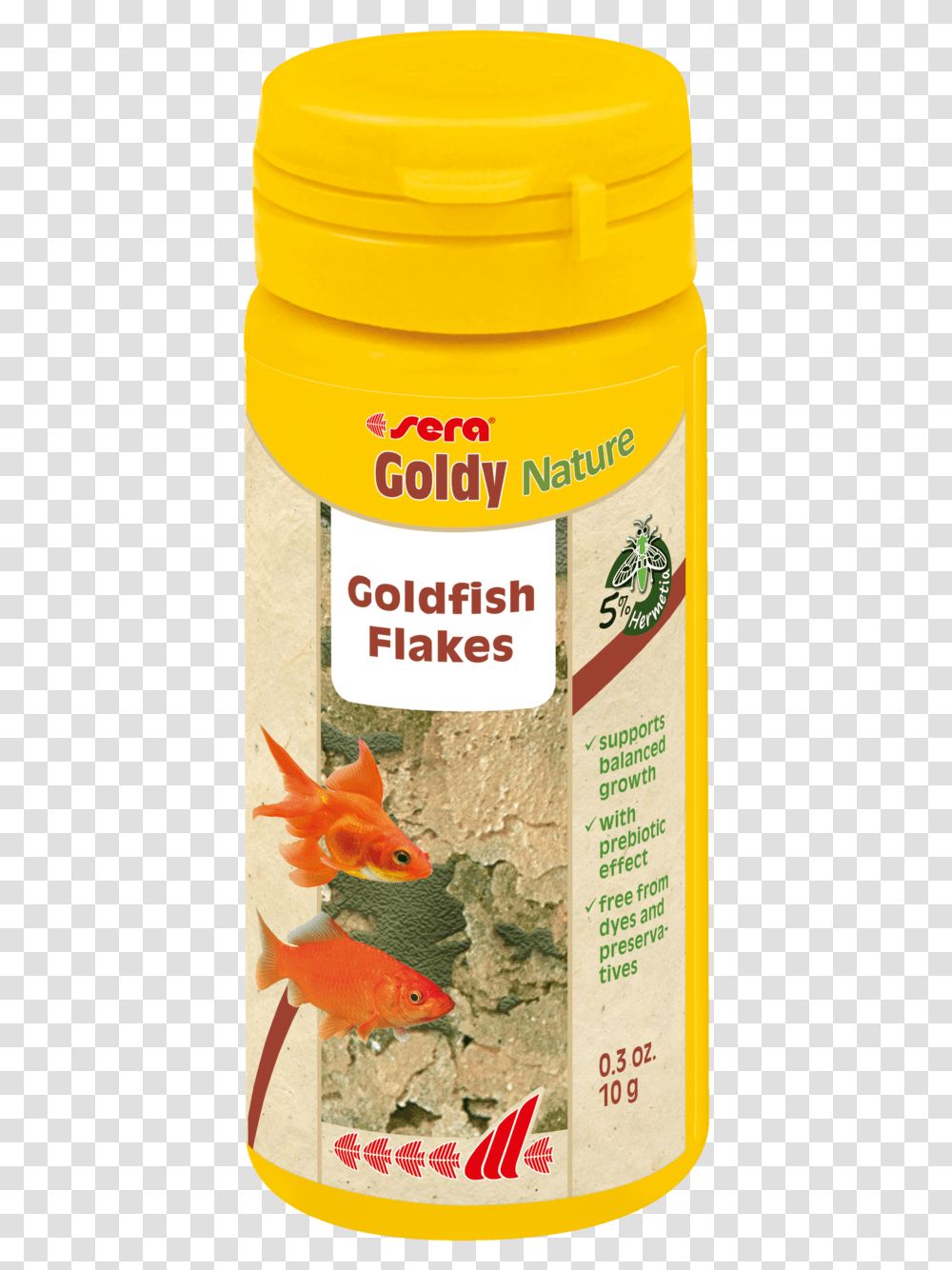 Goldfish, Animal Transparent Png