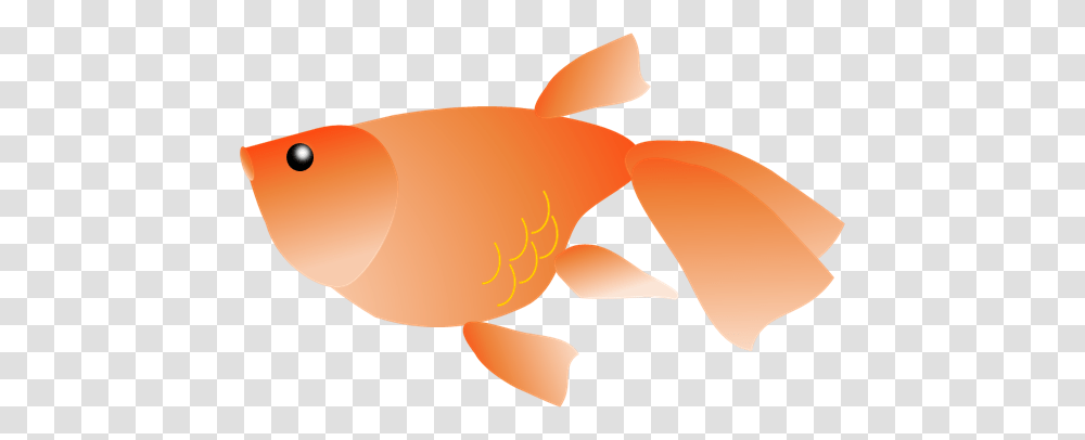 Goldfish, Animals, Balloon Transparent Png