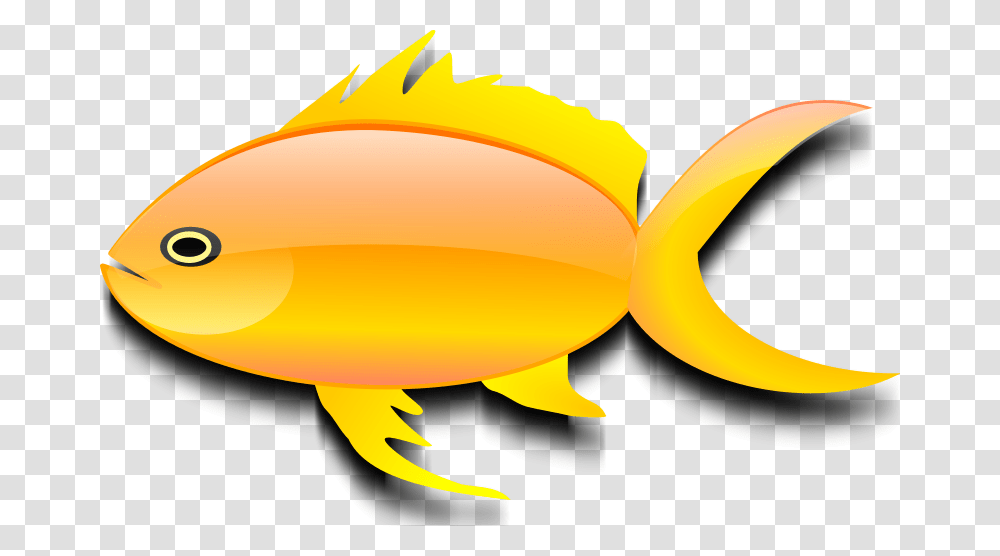 Goldfish, Animals, Banana, Fruit, Plant Transparent Png