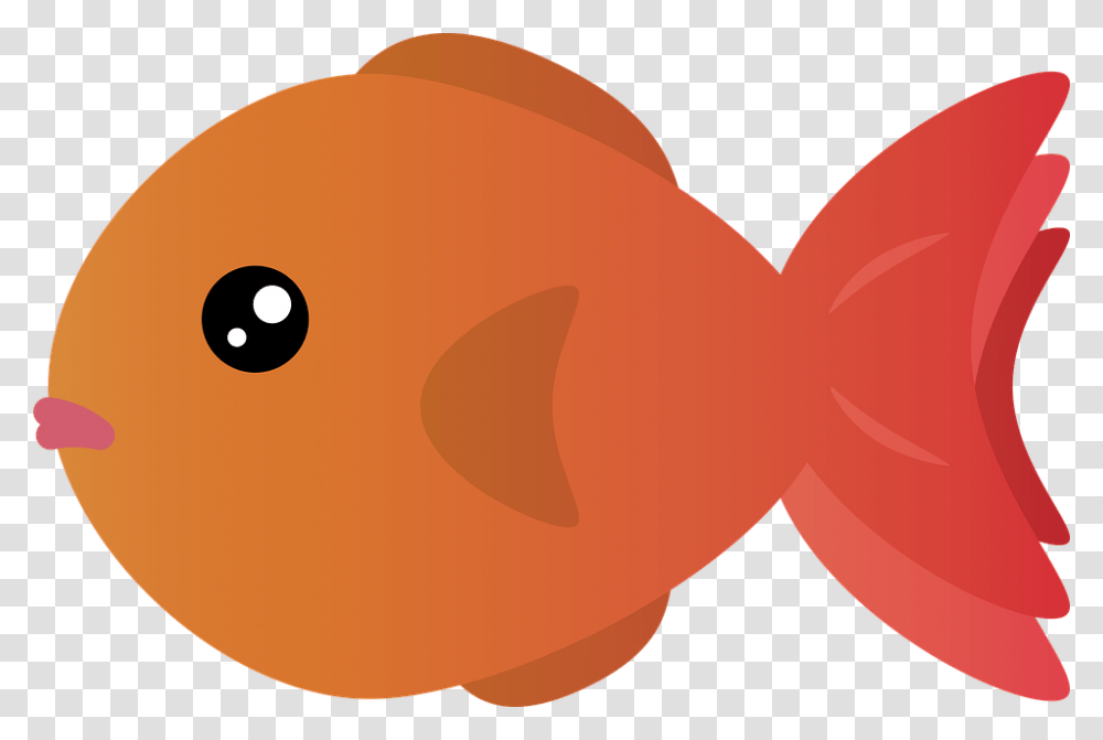 Goldfish, Animals, Baseball Cap, Hat Transparent Png