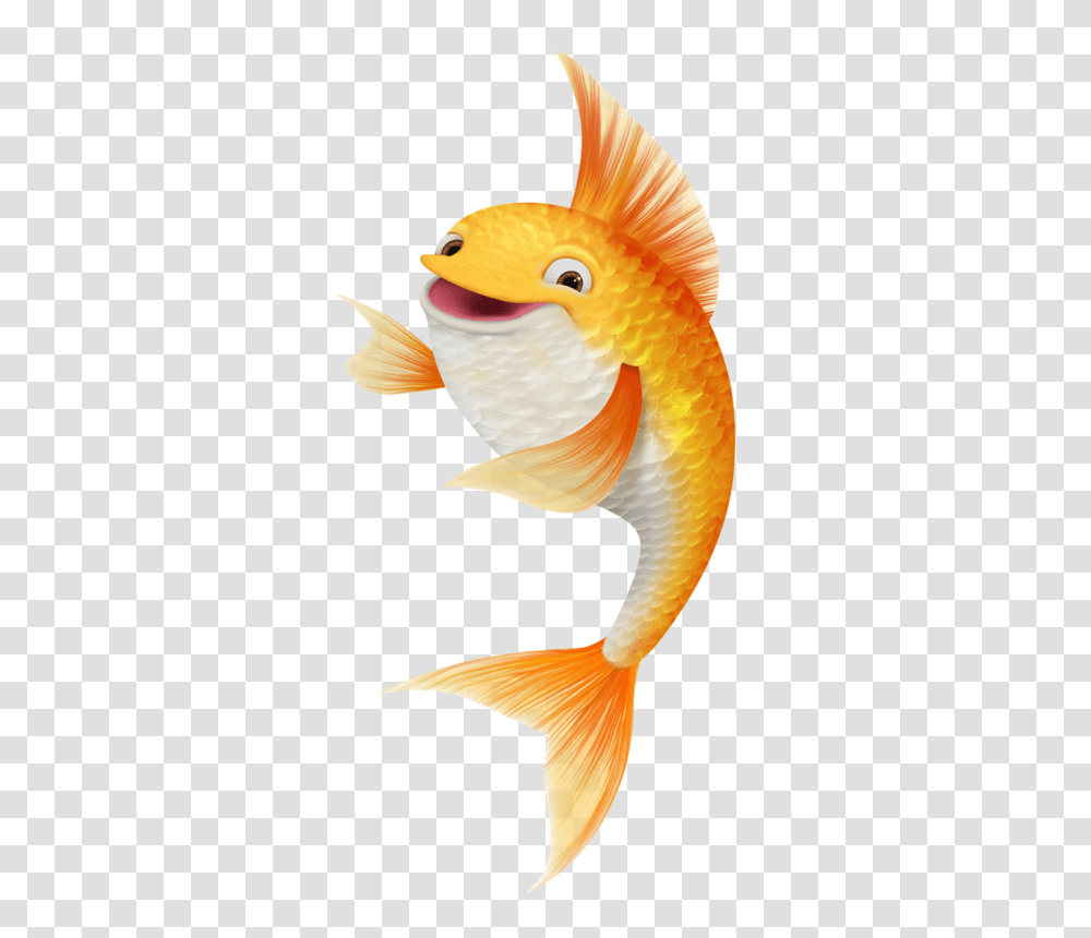 Goldfish, Animals, Bird Transparent Png