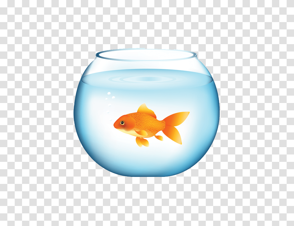 Goldfish, Animals, Lamp Transparent Png