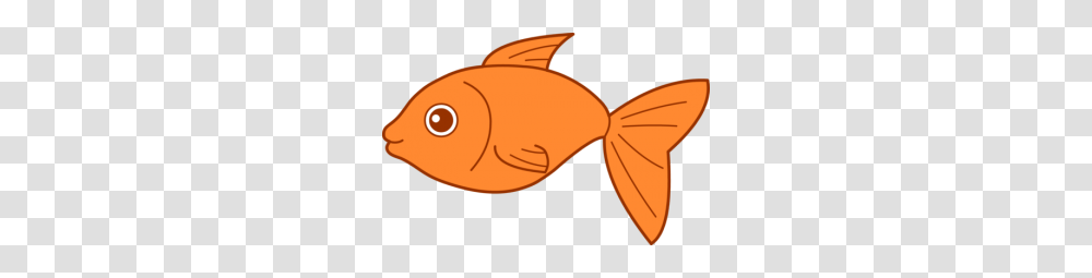 Goldfish, Animals, Tie, Accessories, Accessory Transparent Png